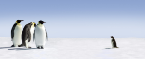 Sharepoint Banner penguins